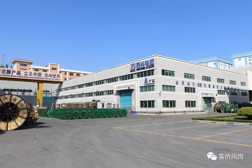 党建引航 | 坚守初心与使命——  918博天堂电缆接受凤岗电视台采访和报道