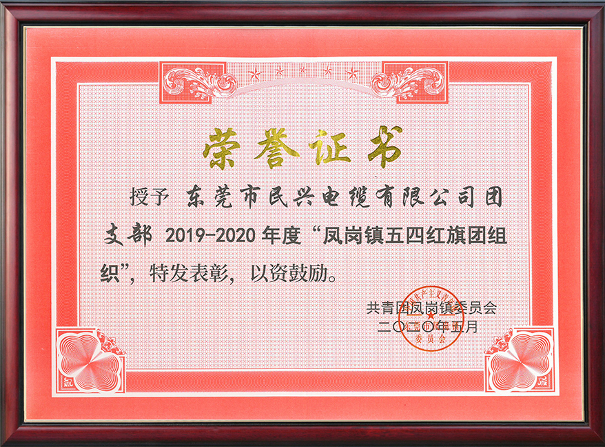  918博天堂电缆团支部获“凤岗镇五四红旗团组织“称号