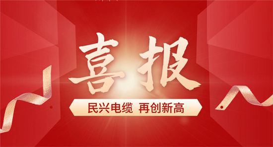 东莞唯一！918博天堂电缆入选广东省首席质量官质量变革创新典型案例