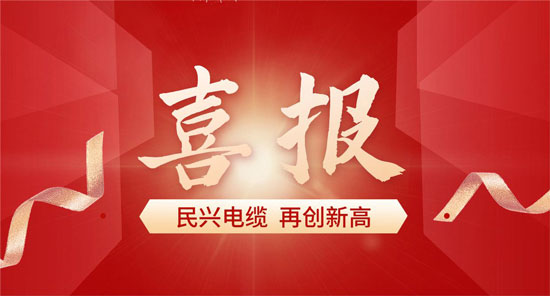 东莞918博天堂电缆入选广东省首席质量官质量变革创新典型案例